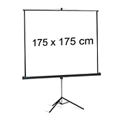 Ekran projekcyjny 3M TS 175 (175x175 cm )